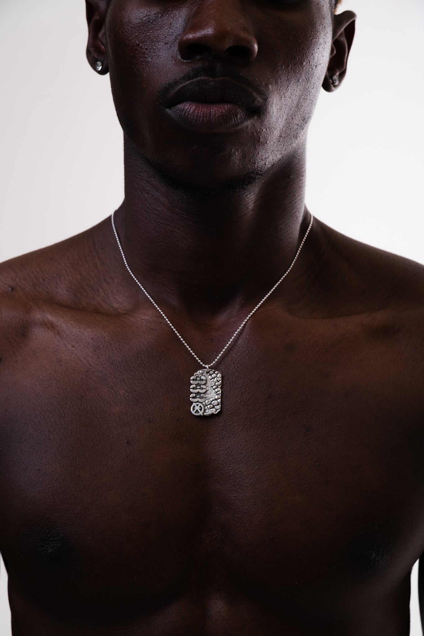 Dog Tag Croco