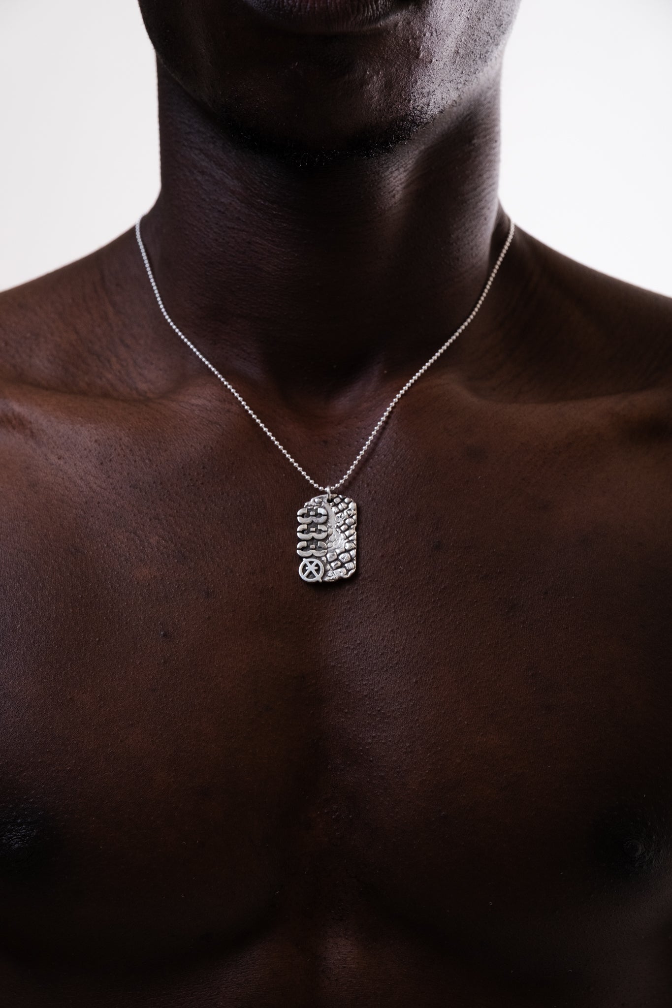 Dog Tag Croco