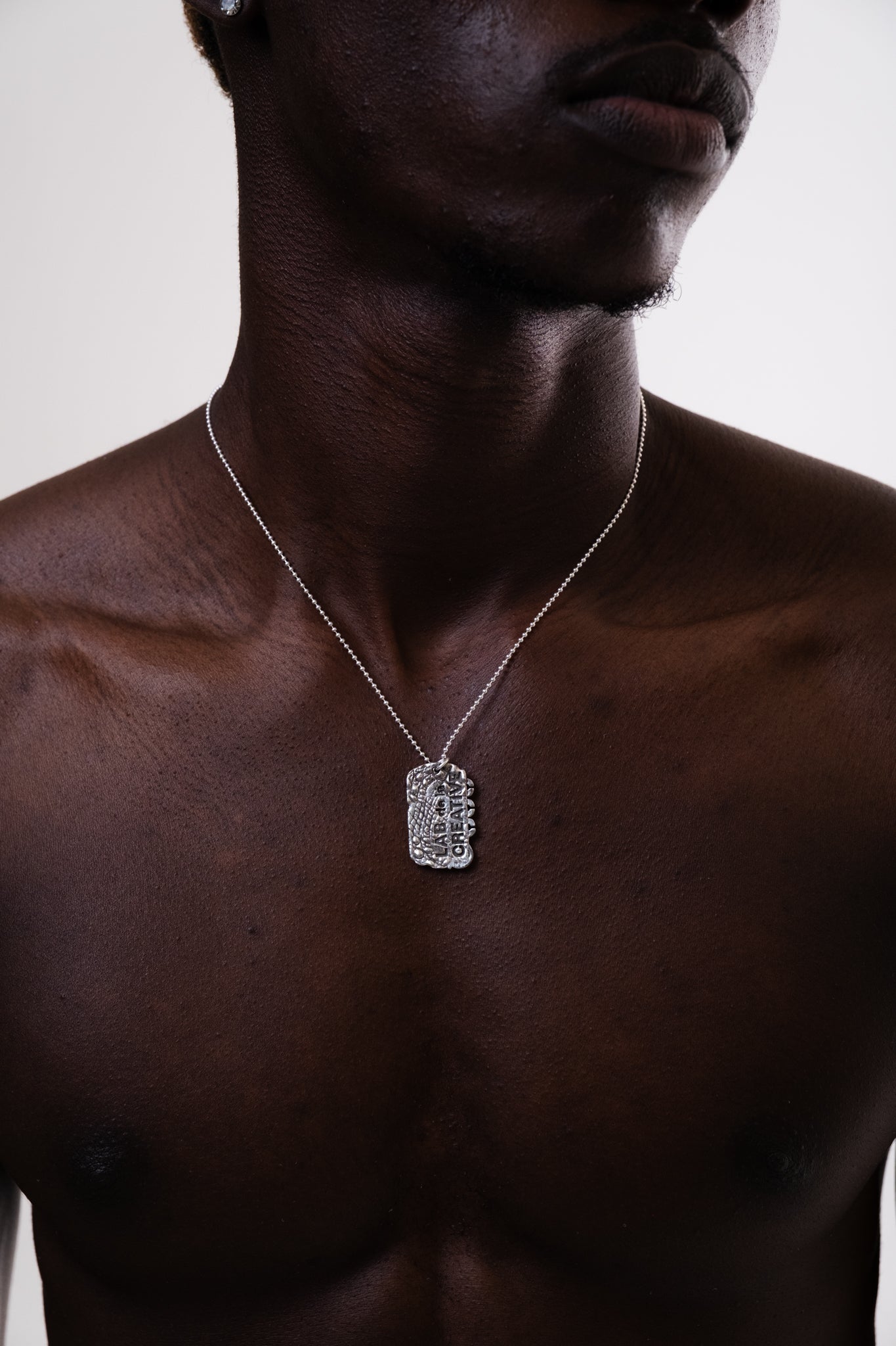 Dog Tag Croco
